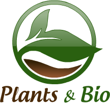 Plants & Bio