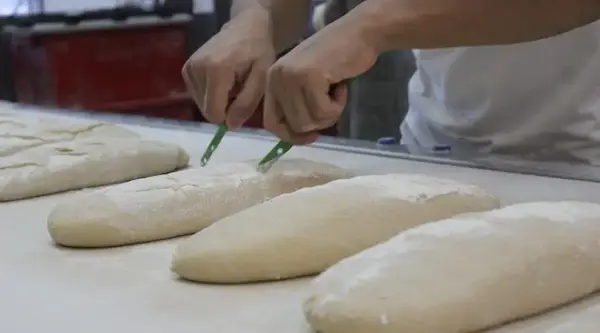 Boulangerie Biofournil