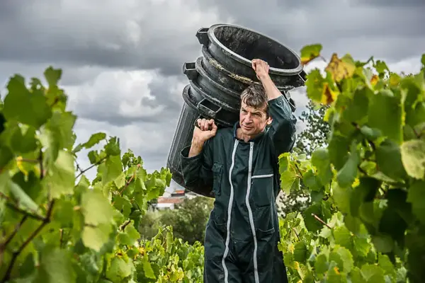 Domaine Orieux